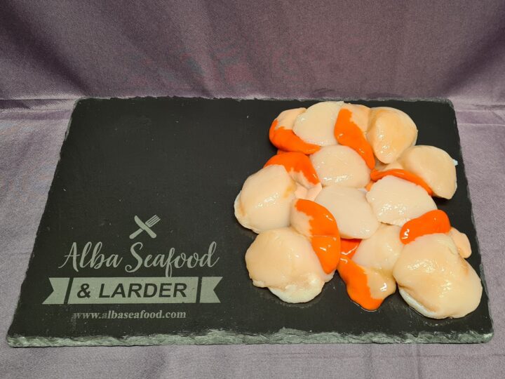 Fresh Scallops - Image 2