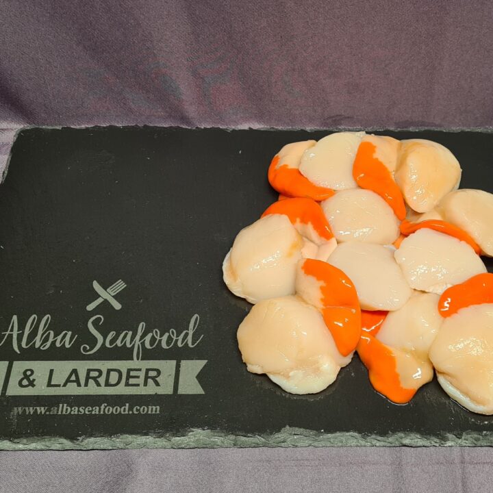 Fresh Scallops - Image 2