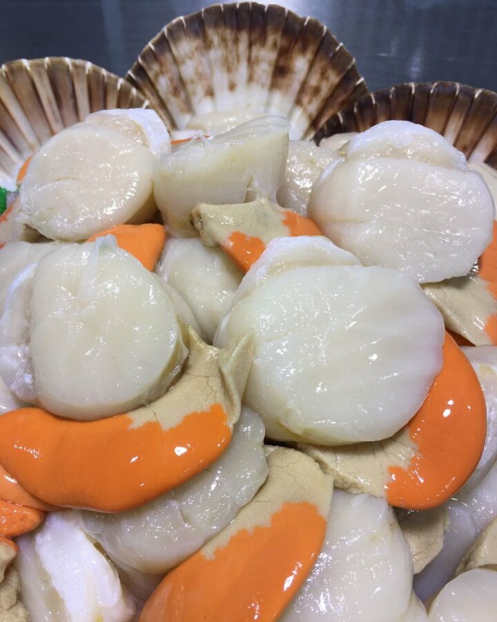 Fresh Scallops
